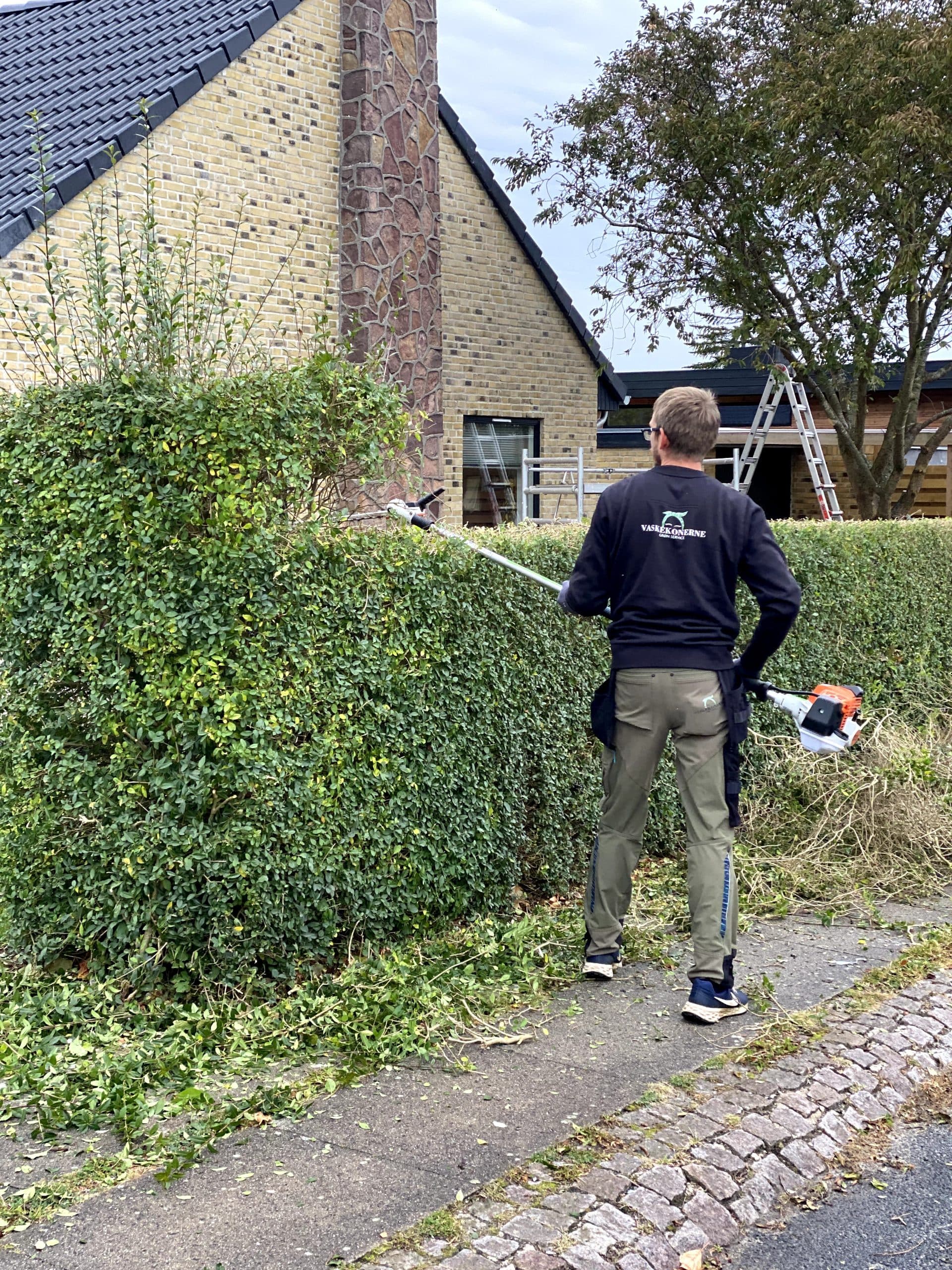 Beskæring hos Vaskekonerne Grøn Service