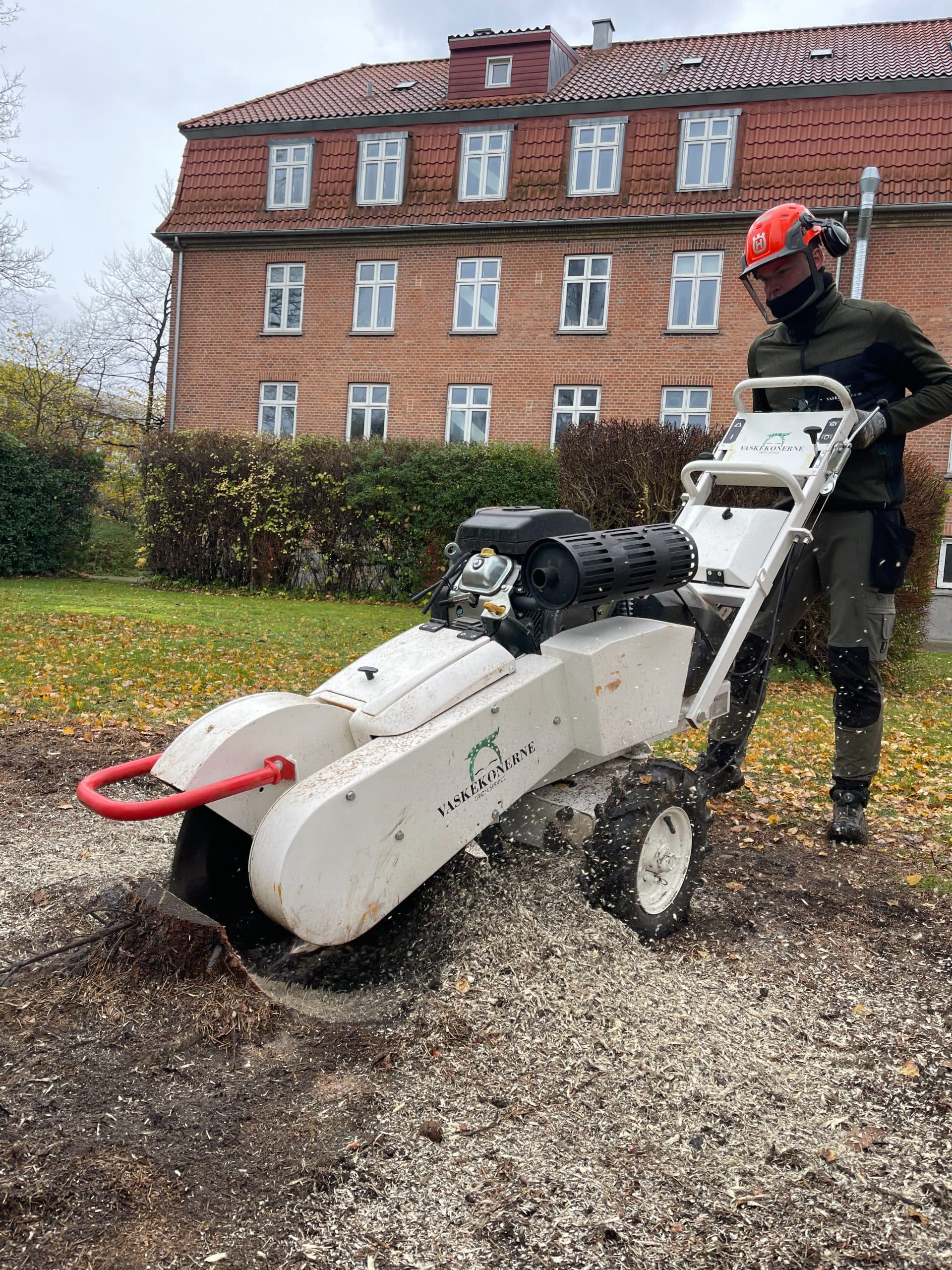 Stubfræsning hos Vaskekonerne Grøn Service